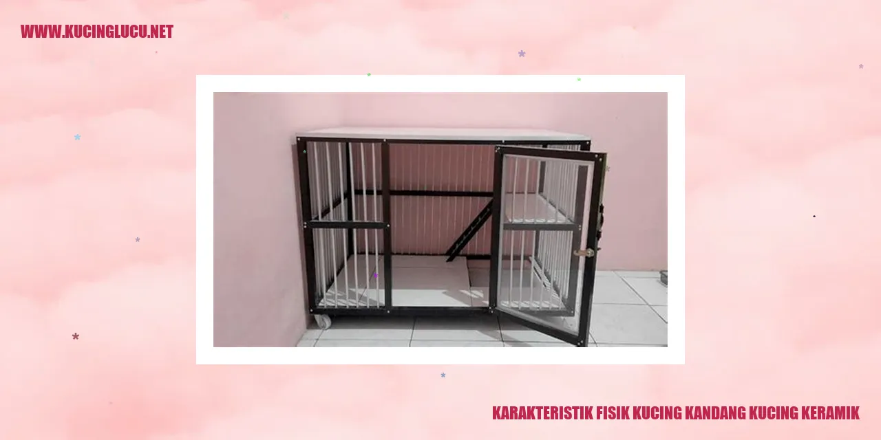 Karakteristik Fisik Kucing Kandang Kucing Keramik