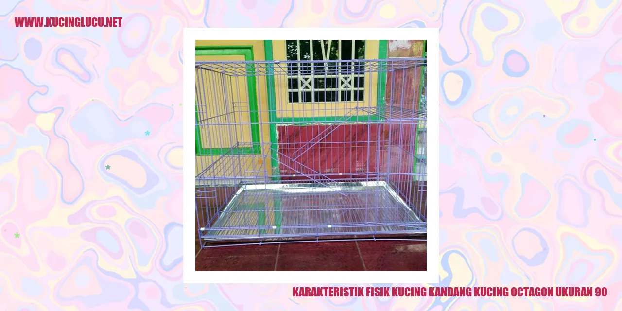 Kucing Octagon