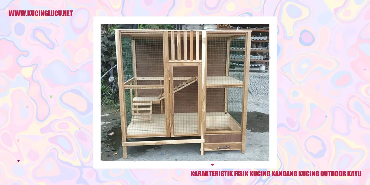 Karakteristik Fisik Kucing kandang kucing outdoor kayu