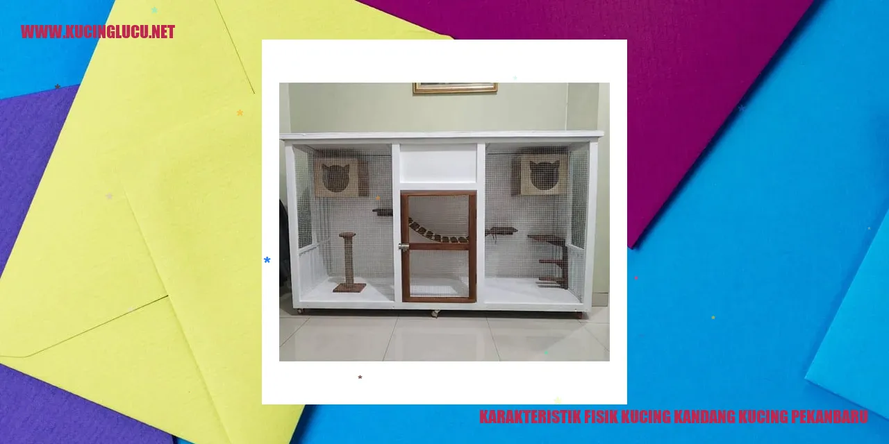 Kucing di Tempat Penitipan Kucing Pekanbaru