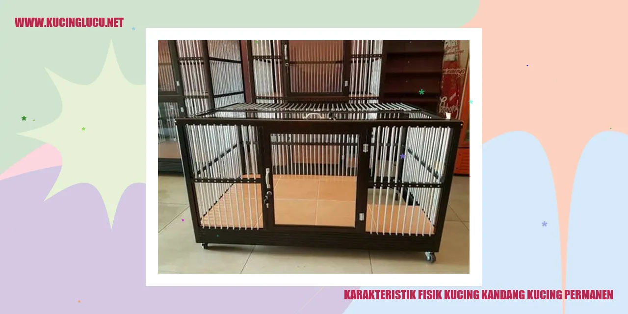Gambar Kucing Kandang