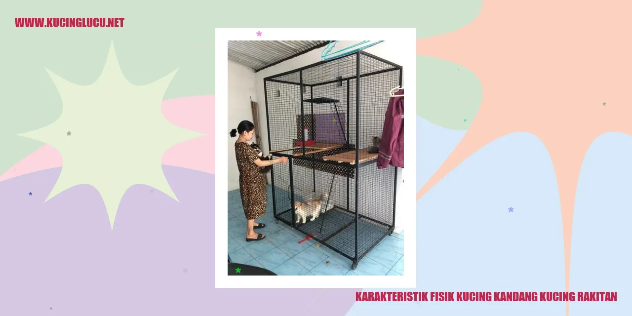 Karakteristik Fisik Kucing kandang kucing rakitan