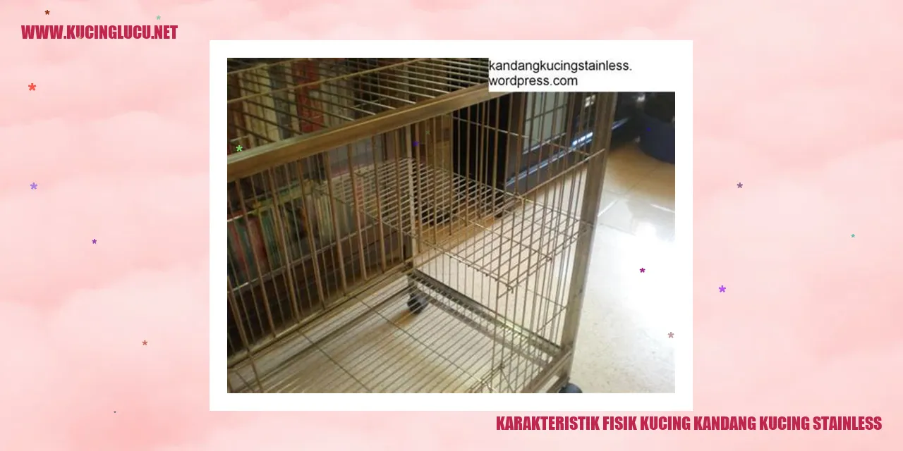 Karakteristik Fisik Kucing Kandang Kucing Stainless
