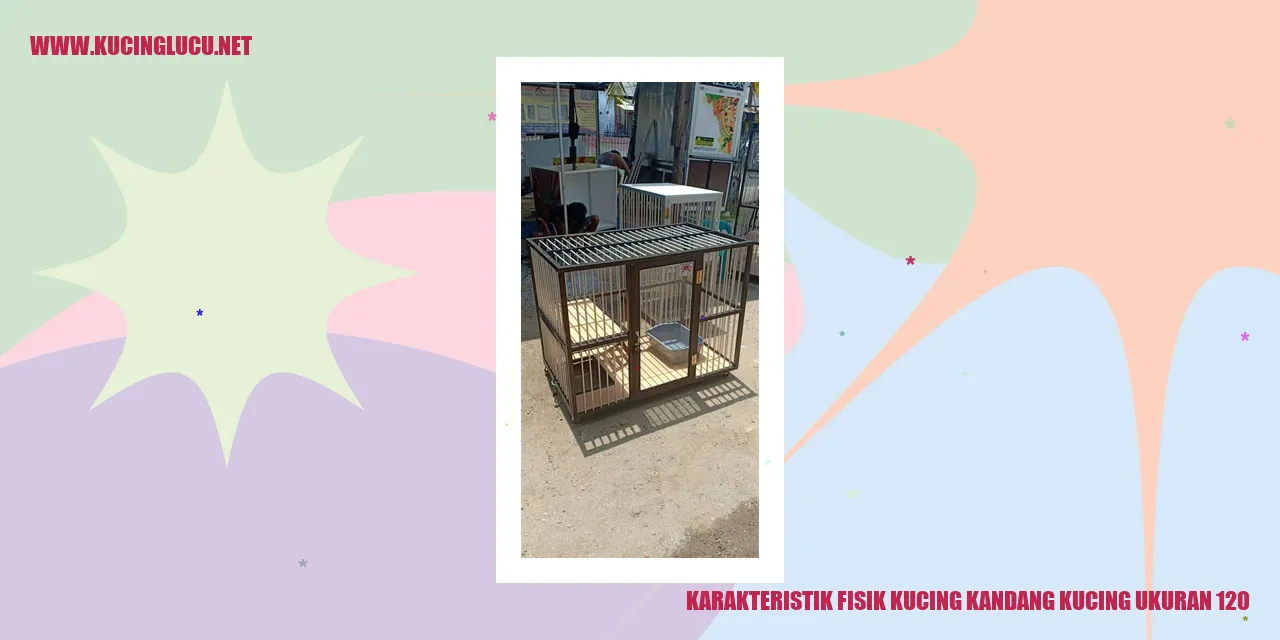 Karakteristik Fisik Kucing Kandang Ukuran 120