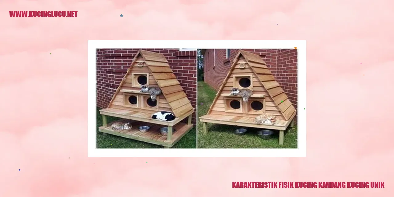 Karakteristik Fisik Kucing Kandang