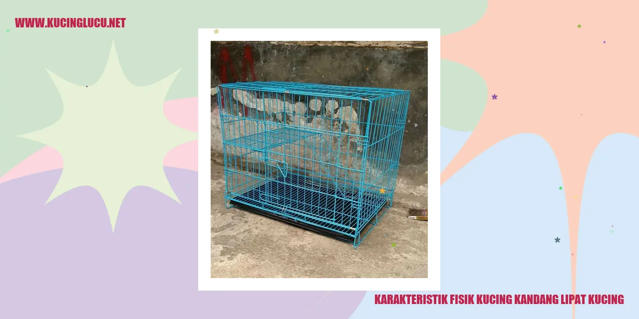 Kucing kandang lipat kucing