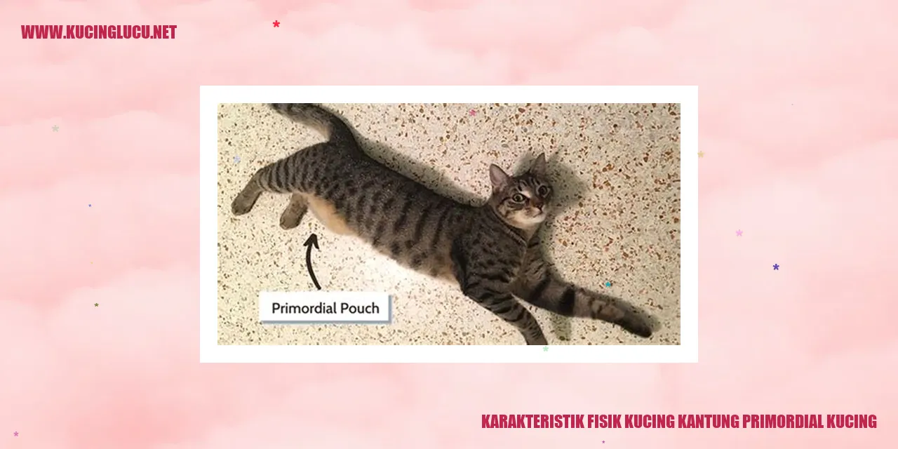 Karakteristik Fisik Kucing Kantung