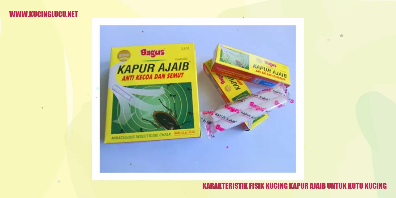 Kucing Kapur Ajaib