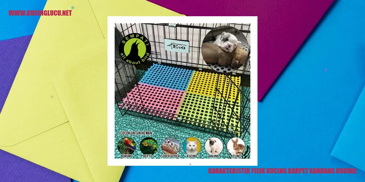 gambar kucing karpet kandang kucing
