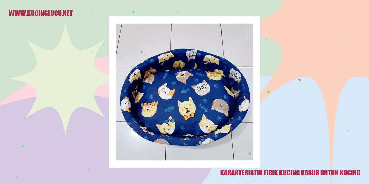 Karakteristik Fisik Kucing Kasar untuk Kucing