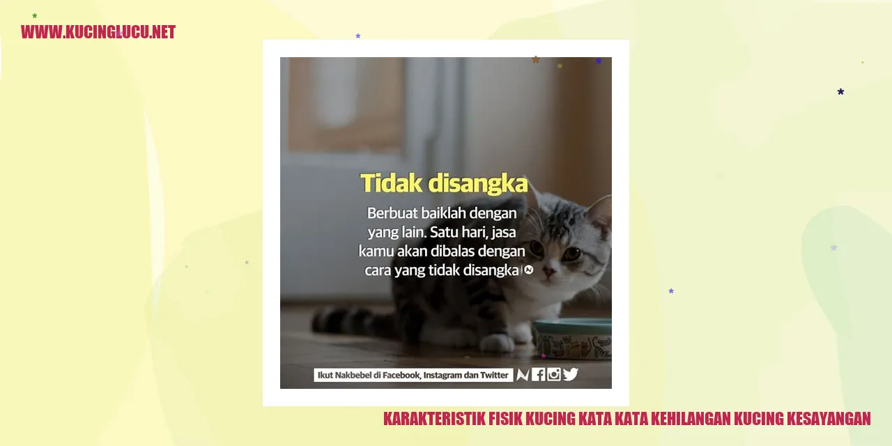 Karakteristik Fisik Kucing