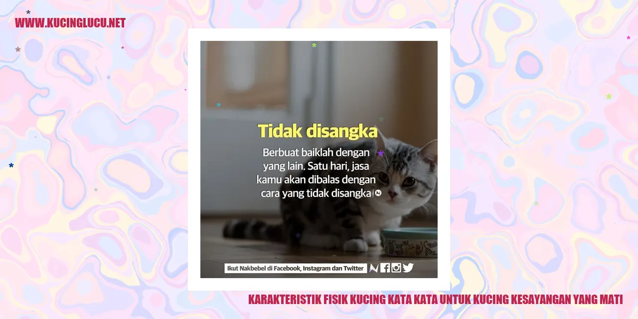 Kucing Kesayangan