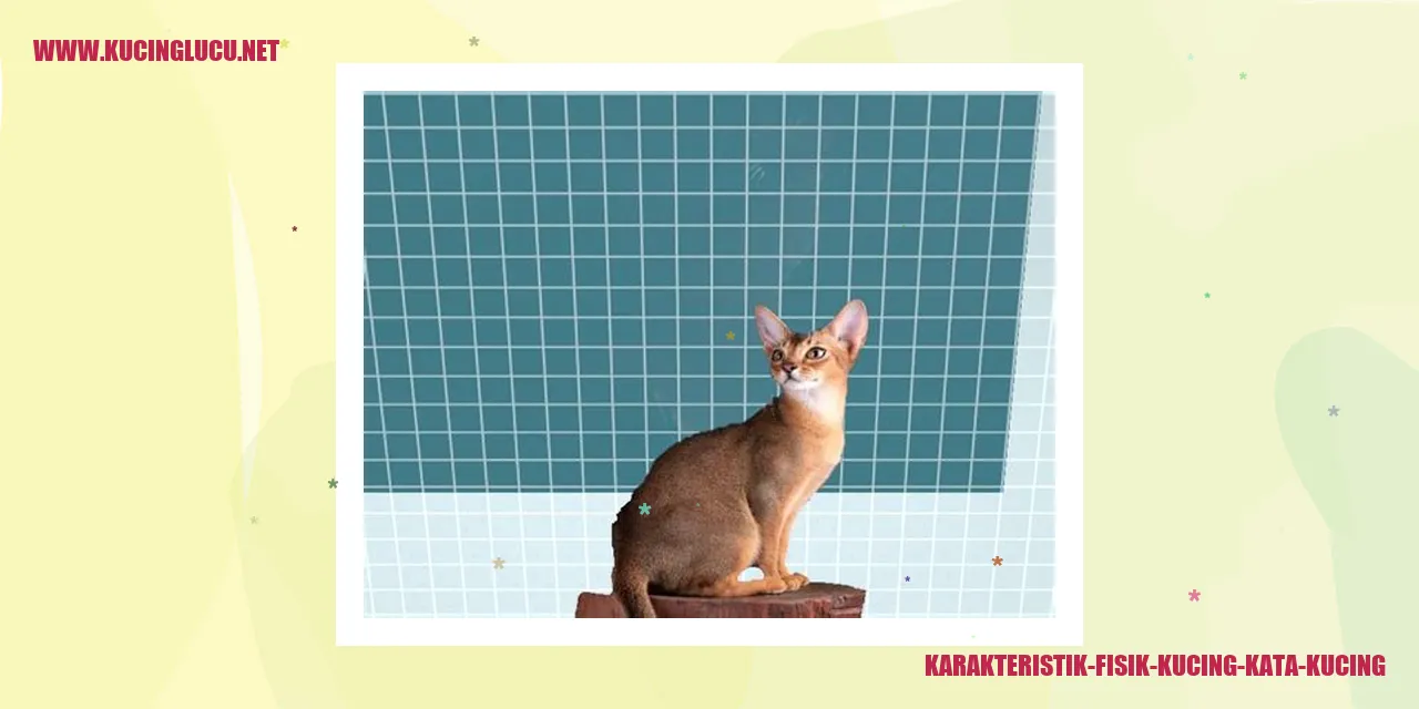 Karakteristik Fisik Kucing
