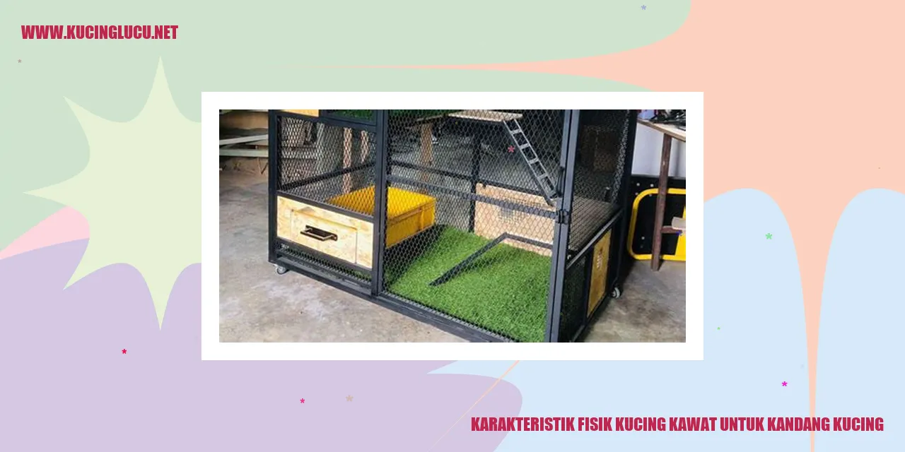 Karakteristik Fisik Kucing kawat untuk kandang kucing