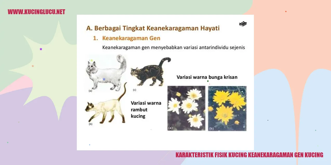Kucing dengan Karakteristik Fisik yang Berbeda