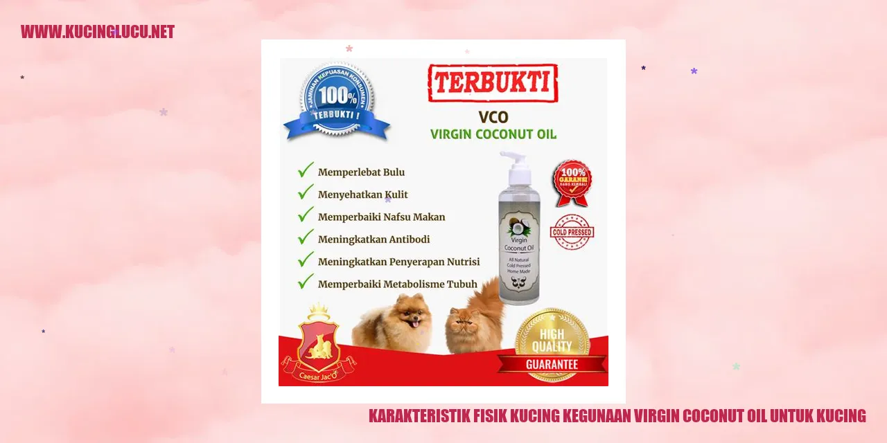 Karakteristik Fisik Kucing