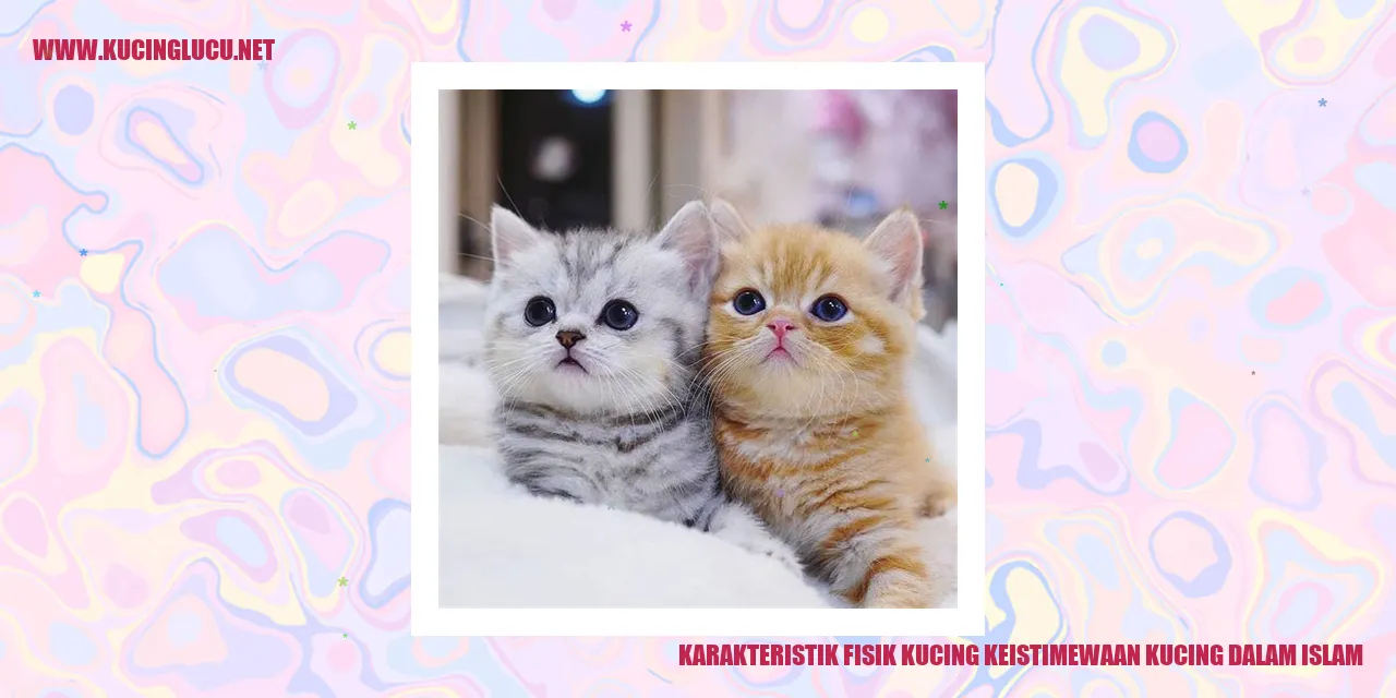 Foto Kucing