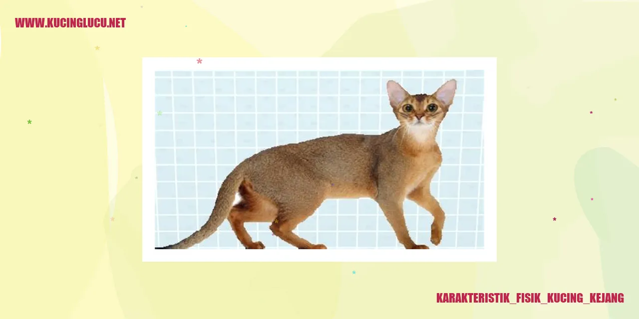 Karakteristik Fisik Kucing