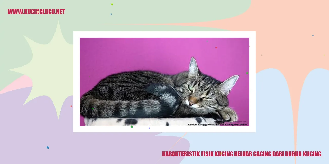Karakteristik Fisik Kucing mengeluarkan cacing dari dubur kucing