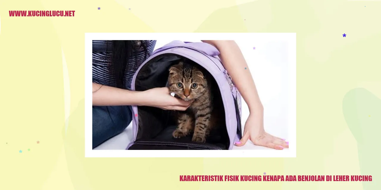 Karakteristik Fisik Kucing kenapa ada benjolan di leher kucing