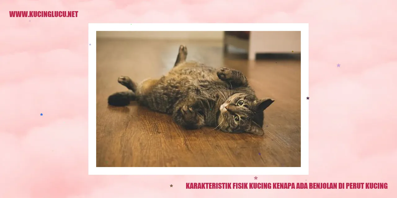 Karakteristik Fisik Kucing