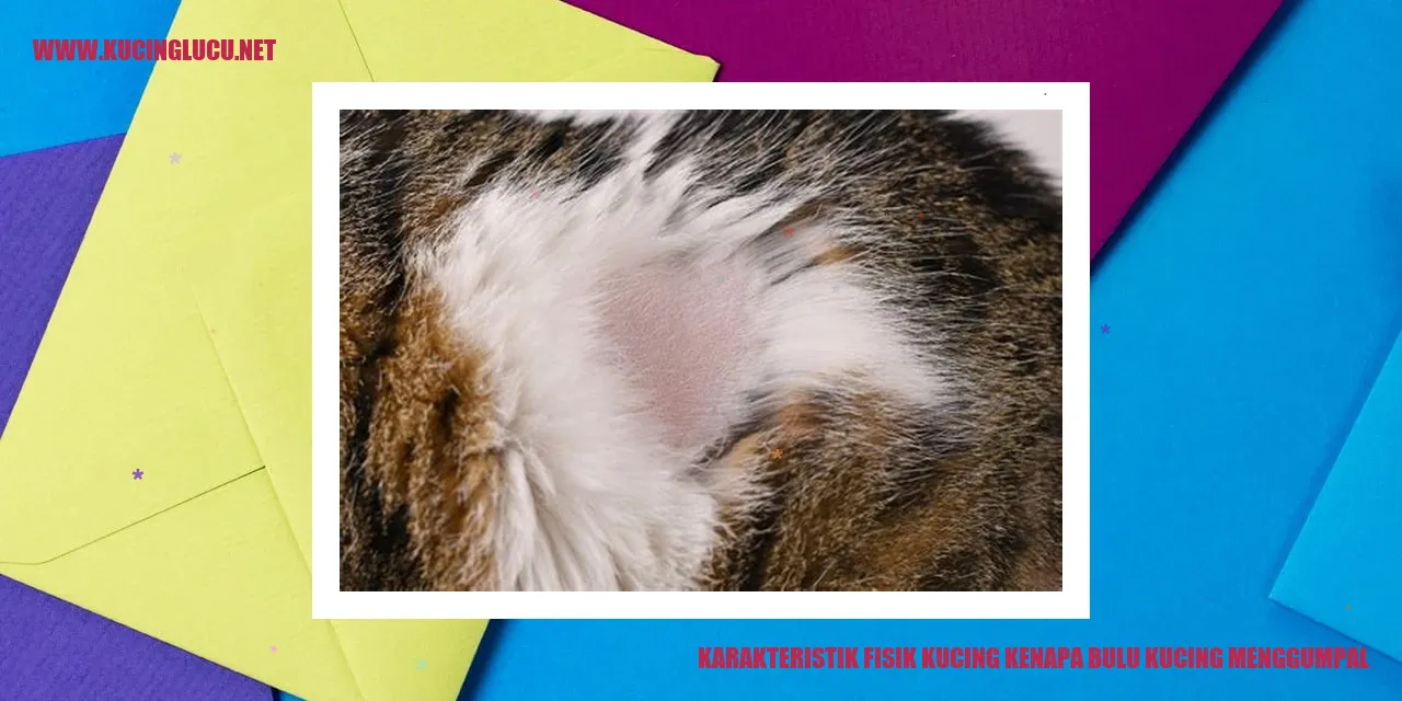 Gambar Kucing