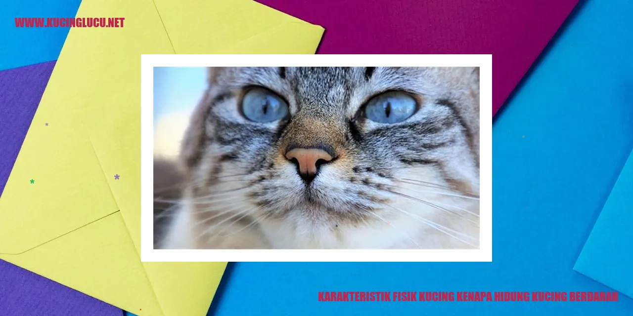 Ilustrasi Kucing
