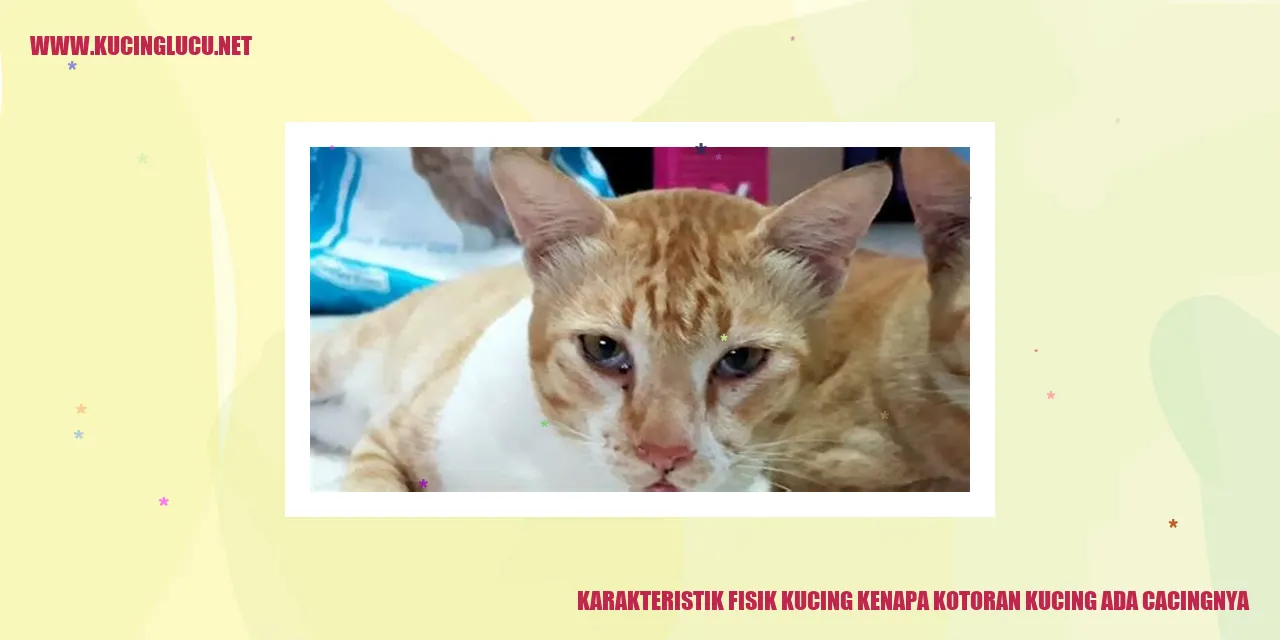 Karakteristik Fisik Kucing