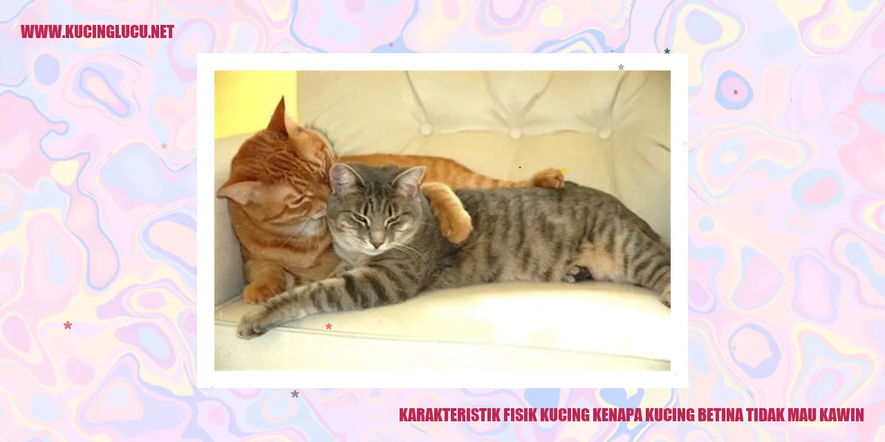 Karakteristik Fisik Kucing