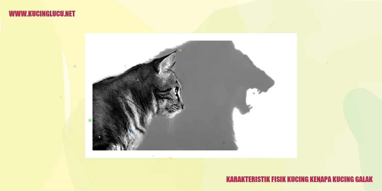 Gambar Kucing