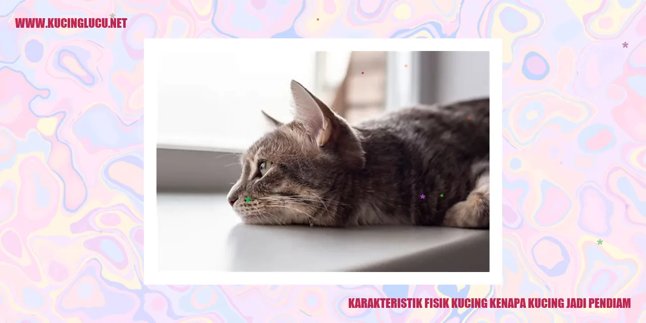 Karakteristik Fisik Kucing kenapa kucing jadi pendiam