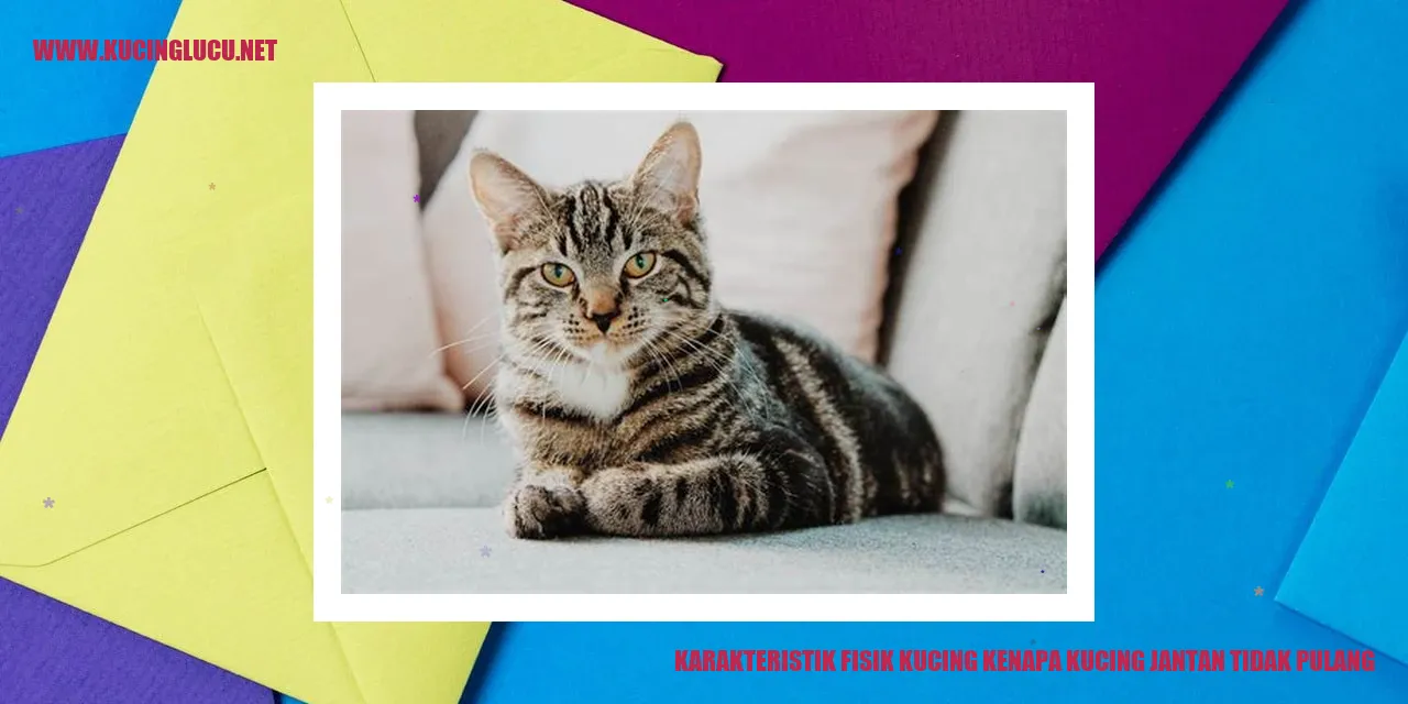 Karakteristik Fisik Kucing