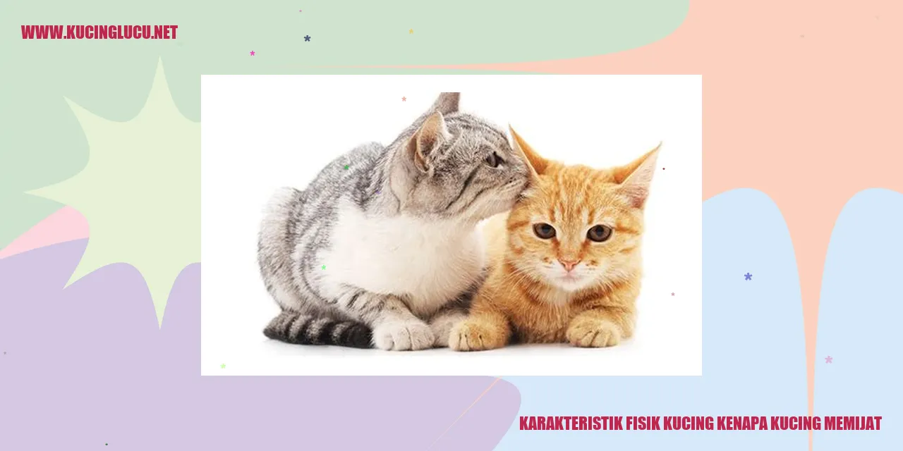 Kucing Memijat