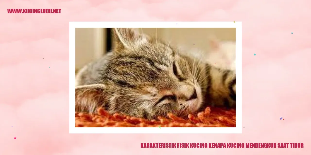 Karakteristik Fisik Kucing