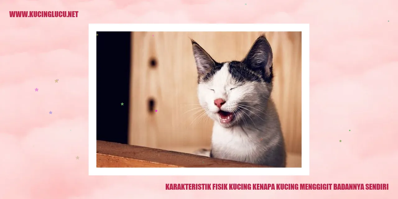 Karakteristik Fisik Kucing