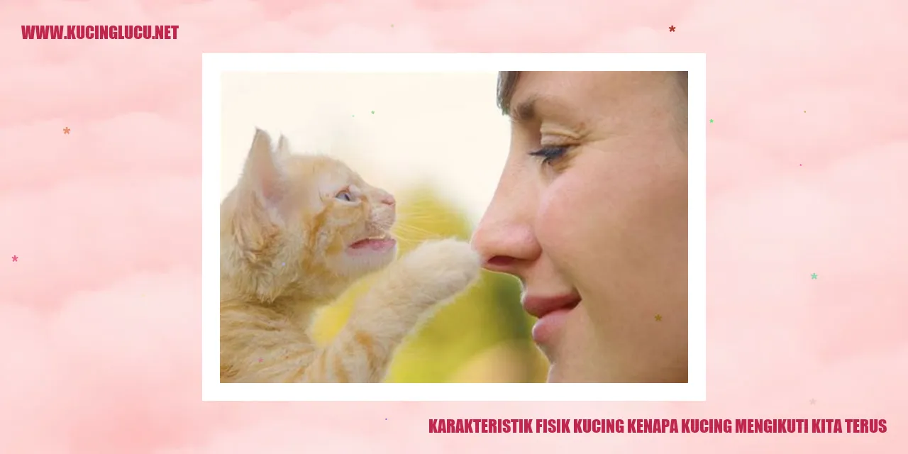 Karakteristik Fisik Kucing