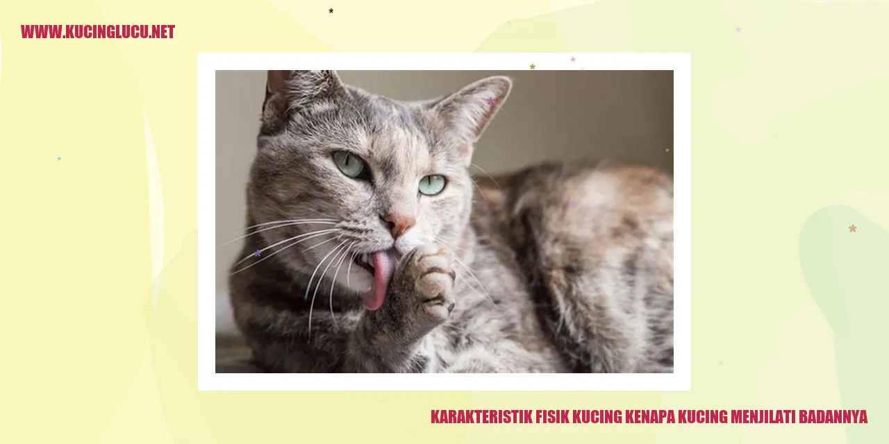 Karakteristik Fisik Kucing dan Alasan Mengapa Kucing Menjilati Badannya
