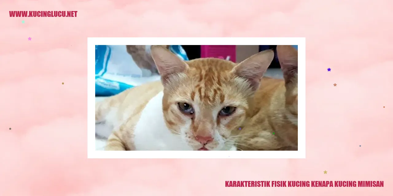 Gambar Kucing