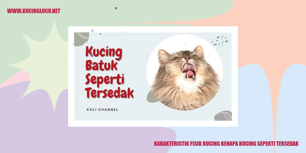 Karakteristik Fisik Kucing kenapa kucing seperti tersedak
