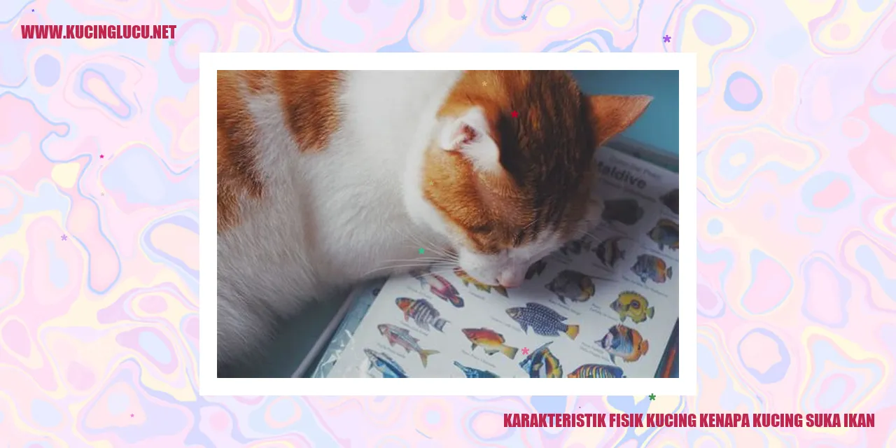 Karakteristik Fisik Kucing