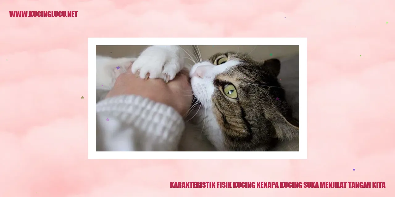 Karakteristik Fisik Kucing