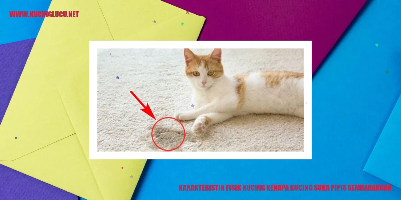 Karakteristik Fisik Kucing