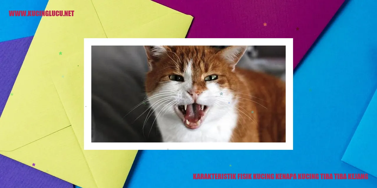 Gambar Kucing