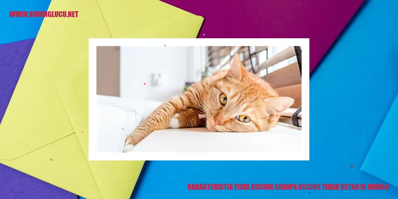 Karakteristik Fisik Kucing kenapa kucing tidak betah di rumah