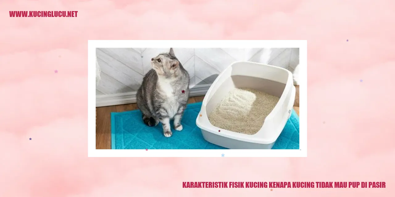 Karakteristik Fisik Kucing