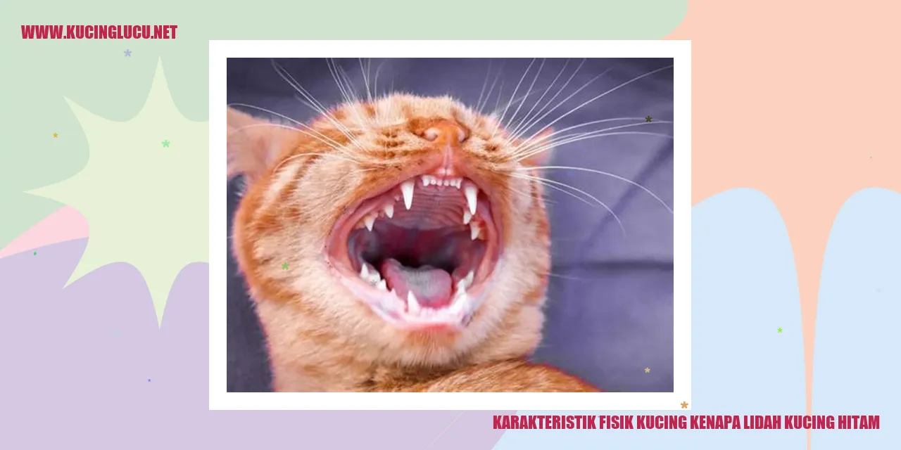 Kekarakteristik Fisik Kucing dan Kenapa Lidahnya Hitam