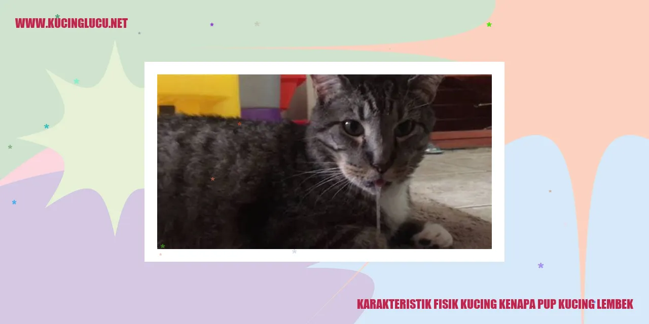 Karakteristik Fisik Kucing