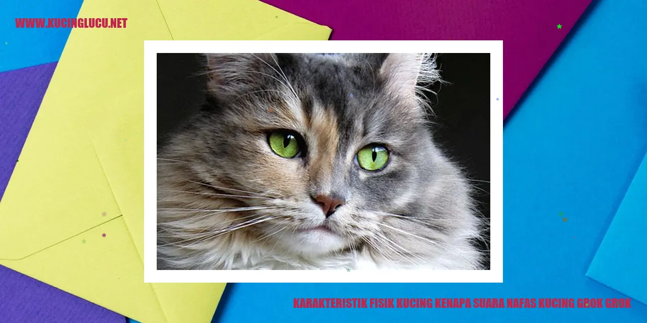 Karakteristik Fisik Kucing