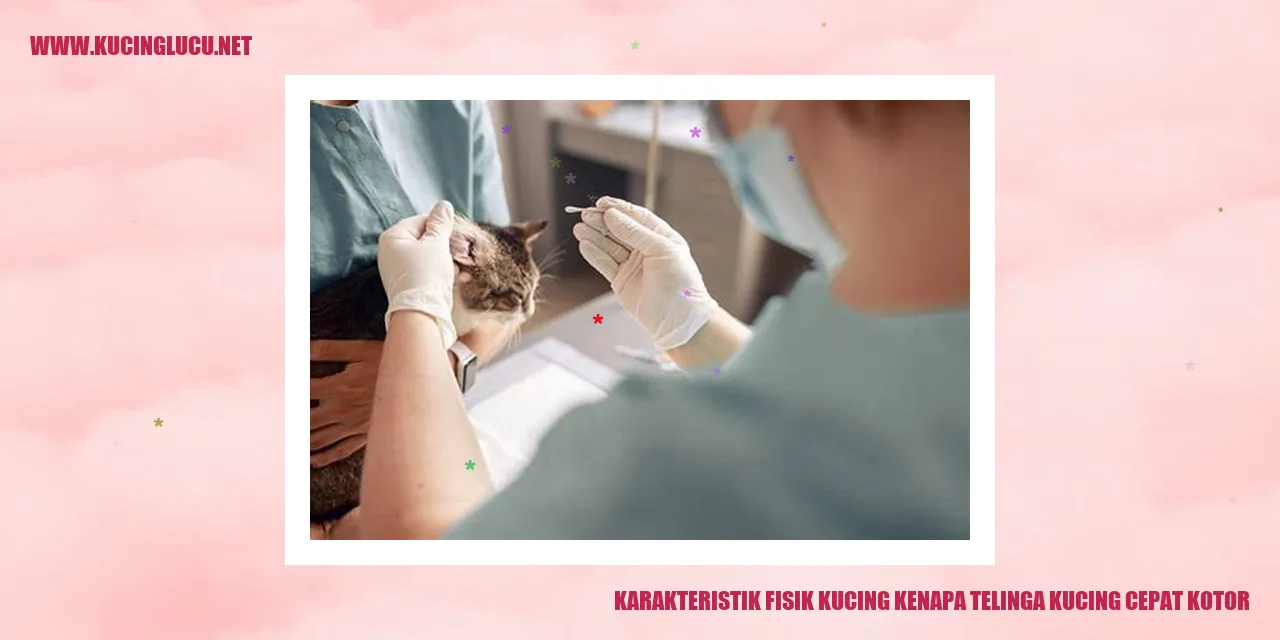 Gambar kucing dengan telinga yang kotor