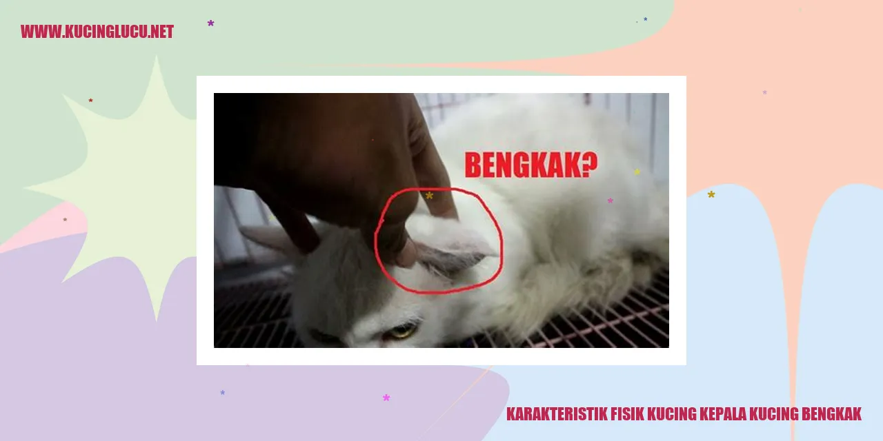 Kucing dengan kepala bengkak